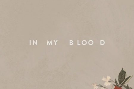 Com show marcado no Brasil em julho, Shawn Mendes divulga hoje o videoclipe de “In My Blood”