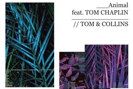 Tom & Collins apresentam seu novo single, ouça “Animal”, com a colaboração de Tom Chaplin