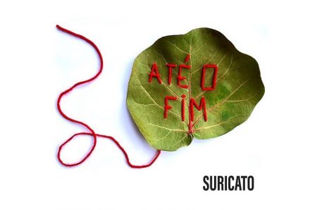 SUCESSO DO @FESTIVALMUSICAEMCASA, “ATÉ O FIM”, CANÇÃO DE RODRIGO SURICATO, CHEGA EM TODOS OS APLICATIVOS DE MÚSICA