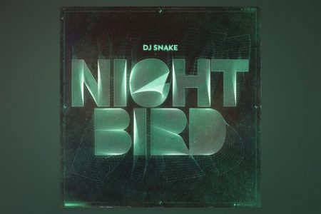 ACLAMADO MUNDIALMENTE, DJ SNAKE LANÇA A INÉDITA “NIGHTBIRD”