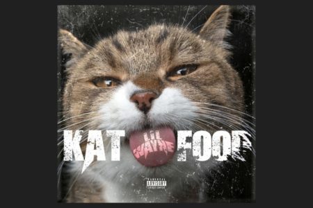 RECÉM-NOMEADO AO HALL OF FAME DO HIP-HOP DA BILLBOARD, O RAPPER LIL WAYNE LANÇA A INÉDITA “KAT FOOD”