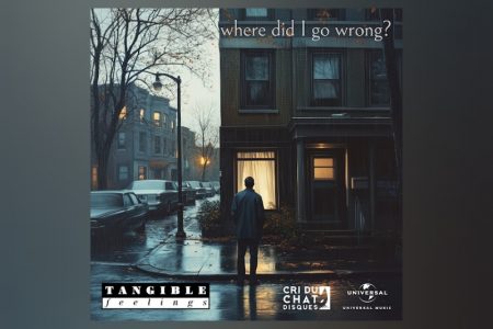 Tangible Feelings lança o novo single, “where did I go wrong?”