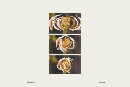 VIRGIN :: O novo EP da cantora Marina Gold, “ANEMOIA”, já está disponível