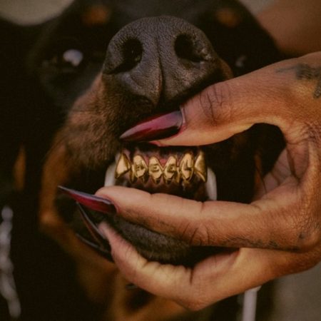 Depois de alcançar o topo das paradas nos EUA, Leon Thomas apresenta a versão deluxe do aclamado álbum “MUTT (Deluxe)”