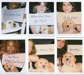 Sabrina Carpenter apresenta a tracklist de seu novo álbum, “Man’s Best Friend”