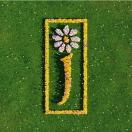 A banda James lança uma coletânea com 58 singles completos, intitulada “Nothing But Love: The Definitive Best Of”