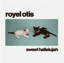 Depois de encantar o Brasil, o duo Royel Otis está de volta com a inédita “Sweet Hallelujah”