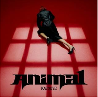 O novo single do KATSEYE, “Animal”, acaba de ser lançado